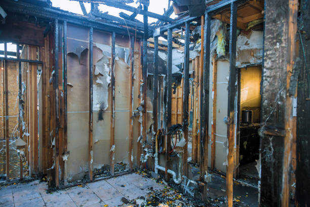 Professional Fire Damage Assessment technician working in Yanceyville, NC